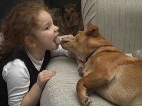 a child kisses a dog and becomes infected with parasites